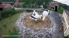 IMG_3901.jpeg