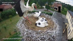 IMG_3909.jpeg