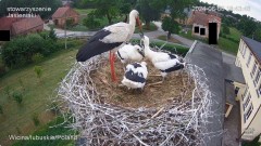 IMG_3910.jpeg