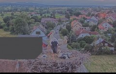 bandicam 2024-06-06 21-10-25-749.jpg