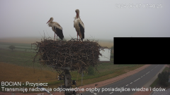 IMG_3949.png