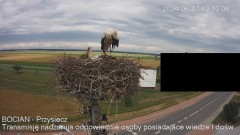 IMG_4018.jpeg