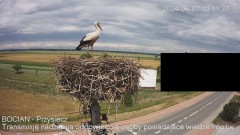 IMG_4028.jpeg
