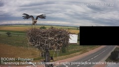 IMG_4030.jpeg