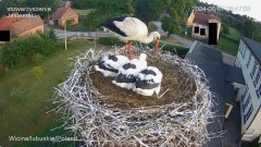 IMG_3935.jpeg