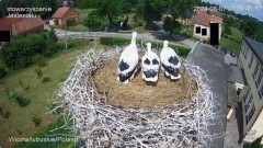IMG_4014.jpeg
