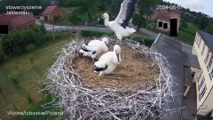 IMG_4075.jpeg