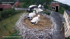 IMG_4076.jpeg