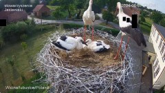 IMG_4088.jpeg