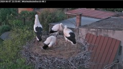 bandicam 2024-06-07 21-54-18-343.jpg