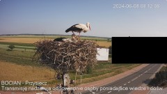 IMG_4128.jpeg