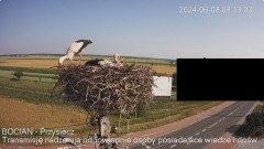 IMG_4132.jpeg