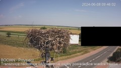 IMG_4143.jpeg