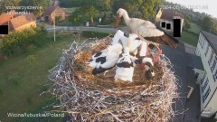 IMG_4111.jpeg