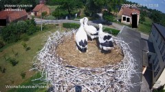 IMG_4183.jpeg