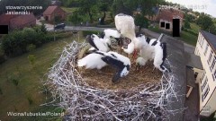 IMG_4245.jpeg