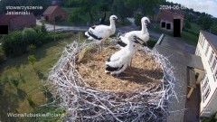 IMG_4247.jpeg