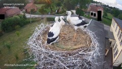IMG_4262.jpeg