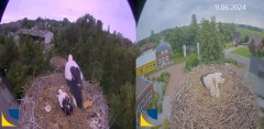 bandicam 2024-06-09 15-25-51-391.jpg