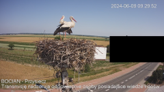 IMG_4316.png