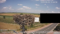 IMG_4352.jpeg