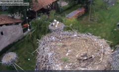 bandicam 2024-06-09 18-53-25-130.jpg