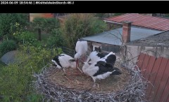 bandicam 2024-06-09 18-55-13-392.jpg