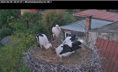 bandicam 2024-06-09 18-56-04-649.jpg