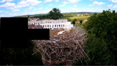 2024-06-09 11_48_47-rtsp___94.40.20.138_554_h264_ch1_main_av_stream - VLC media player.jpg