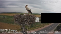 IMG_4543.jpeg