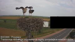 IMG_4554.jpeg