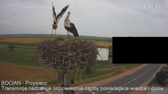IMG_4557.png