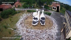 IMG_4563.jpeg