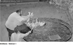 bandicam 2024-06-10 21-52-09-183.jpg