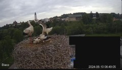 2024-06-10 10_29_02-Biecz gniazdo bocianów - YouTube – Maxthon.jpg