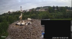 2024-06-10 10_29_23-Biecz gniazdo bocianów - YouTube – Maxthon.jpg