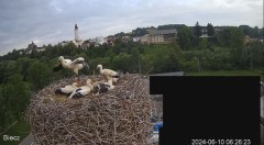 2024-06-10 10_29_39-Biecz gniazdo bocianów - YouTube – Maxthon.jpg