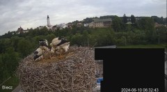 2024-06-10 10_29_55-Biecz gniazdo bocianów - YouTube – Maxthon.jpg