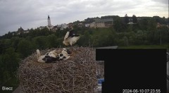 2024-06-10 10_30_18-Biecz gniazdo bocianów - YouTube – Maxthon.jpg