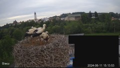 2024-06-11 15_14_18-Biecz gniazdo bocianów - YouTube – Maxthon.jpg