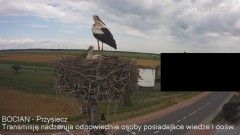 IMG_4657.jpeg