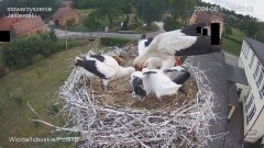 IMG_4616.jpeg