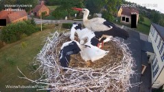 IMG_4631.jpeg