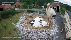 IMG_4652.jpeg