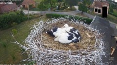 IMG_4729.jpeg