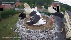 IMG_4845.jpeg