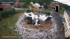 IMG_4857.jpeg