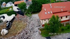 2024-06-12 22_08_02-Gniazdo bocianie _Kostek i Rika_ - Podkarpacie Kostarowce - YouTube – Maxthon.jpg