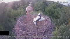 2024-06-12 22_24_18-Wodociągi Ostrołęka – transmisja na żywo - YouTube – Maxthon.jpg