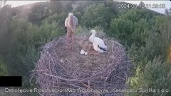 2024-06-12 22_24_25-Wodociągi Ostrołęka – transmisja na żywo - YouTube – Maxthon.jpg